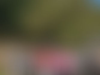 Séminaire d'entreprise : management et préparation physique