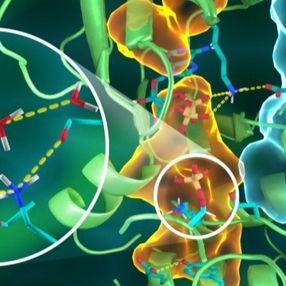 Enzyme Technology