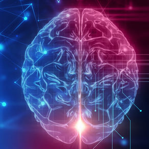Principio de plasticidad neuronal: ¿El cerebro nace o se hace?