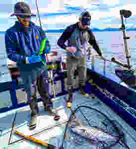 Alaska Salmon Fishing Trips
