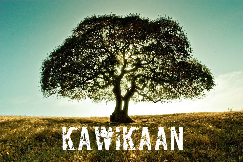 Kawikaan