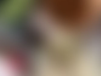 Hoi Sin Jackfruit Pancakes