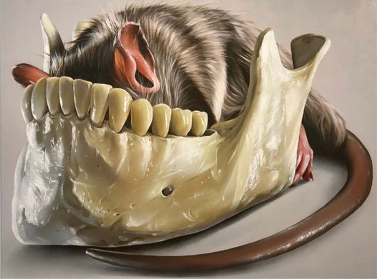 Australian painter Sam Bates aka Smug One's Art is photo realistic