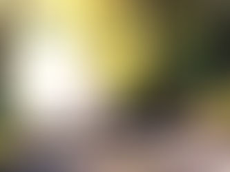 It's time for 'da bears!