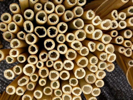 Huánuco: agricultores de Monzón innovan con cañitas biodegradables
