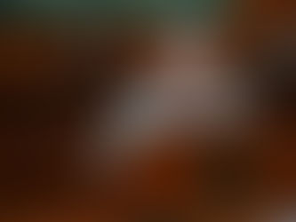 Se aprueba dictamen que garantiza inclusión de personas discapacitadas a espacios bibliotecarios