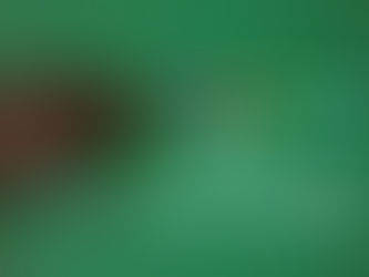 ENTREPRENEUR CLASS MARKET DAY