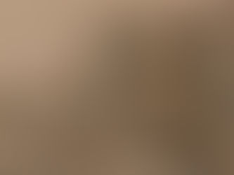 The Nimrud Apkallu Lost to History