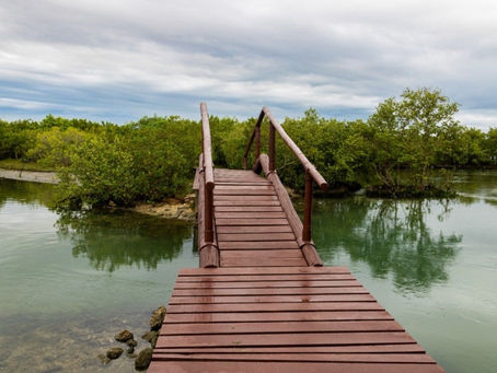CABO FRIO REINAUGURA PARQUE NATURAL MUNICIPAL DORMITÓRIO DAS GARÇAS