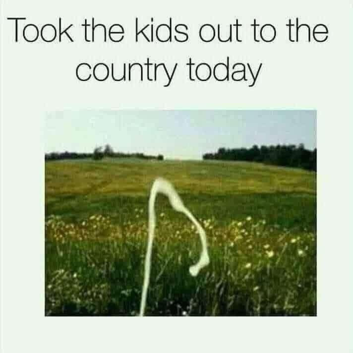 Took the kids out to the country today