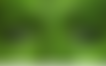 A Permacultura e os eucaliptos.