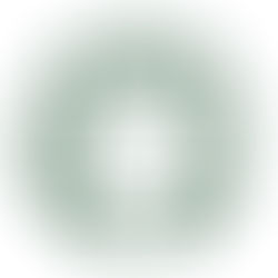 Do you see what I see?