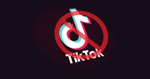 President Trump won't ban TikTok just yet 