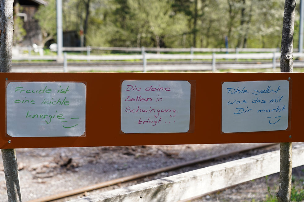 Die Energie & Schwingung der Freude