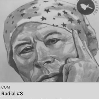 Catalina Mena conversa sobre su libro "Pedro Lemebel" en La Juguera Radial de radio Tierra