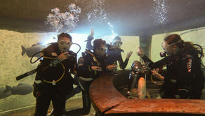 TODI - Fresh Water Fish Confined Dive Site Beringen, Belgium