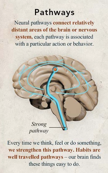 Rewire your brain