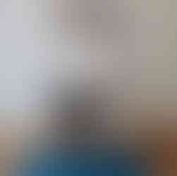 CECILIA MASSIGNAN HOME STAGING PISA LIVORNO TOSCANA ON LINE