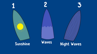 Fellys Pick: Which Surfboard?