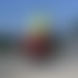 Round Trip Baguio City