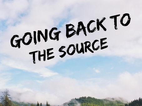 Going Back to the Source