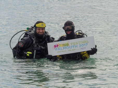 Falmouth Spring Festival Clean Up Day 