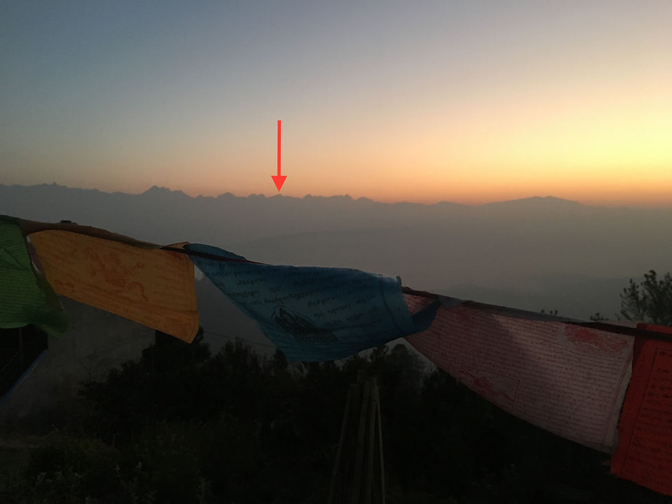 Indiana Jones & The Car Ride of Doom