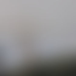 What Happens Now For The Property Finance Industry?