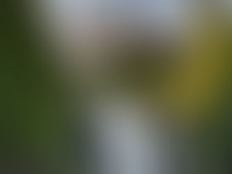 Mount Rainier National Park