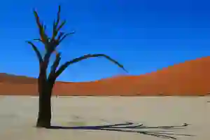 Dead Vlei PLUS BEAU PAYSAGE D'AFRIQUE