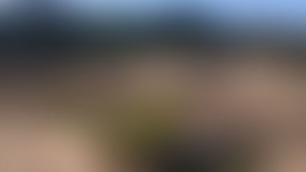 Villa romaine de Piantarella (Corse)