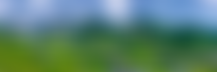Why Liechtenstein Needs To Be On Every Traveler's Bucket List
