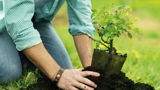 Jede Rezension ist ein neuer Baum auf der Welt