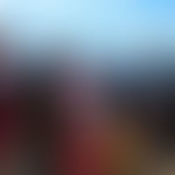 Manfred Frühauf für 50 Jahre CSU-Mitgliedschaft geehrt