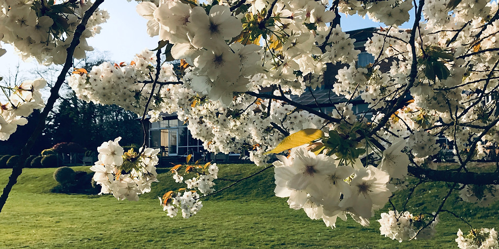 Locke Park - Family Walk and Cafe