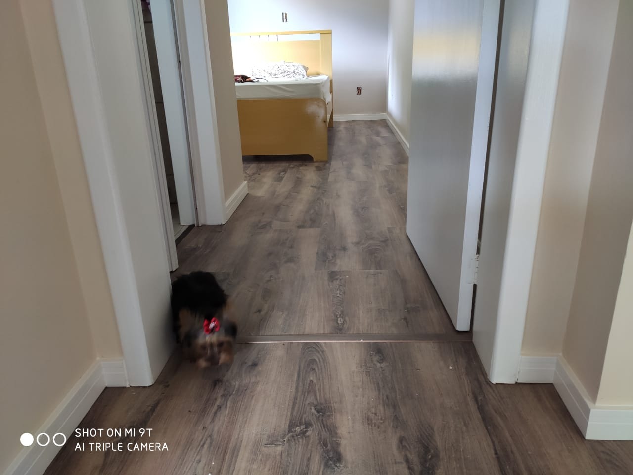 Piso laminado Celtic Oak — foto 5