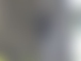 Exotic Bird on Bainbridge Island