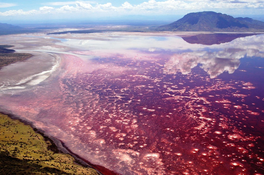 Le Lac Natron en Tanzanie