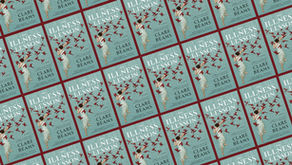 The Illness Lesson by Clare Beams