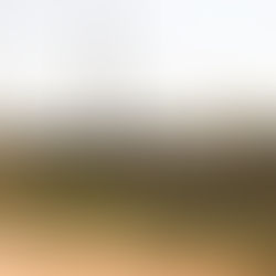 Magangué: Vecinas de estadio piden una malla para que pelotas de sóftbol no caigan en sus casas