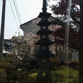 五重塔販売致します(^^)/