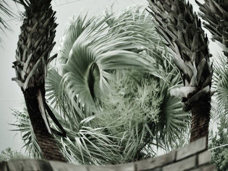 Hurricane winds