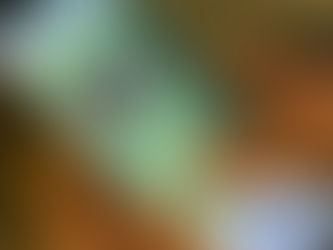 VOTAÇÃO DO PROJETO QUE AUMENTA VALIDADE DA CNH E MUDA REGRA PARA SUSPENSÃO SERÁ VOTADO HOJE