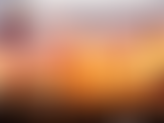 Enjoy a Festival In Style