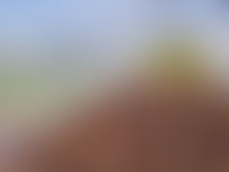 Après la mise des bâches...plantations