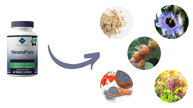 NeuroPure:- Reviews 2022, Ingredients, Price In USA content media
