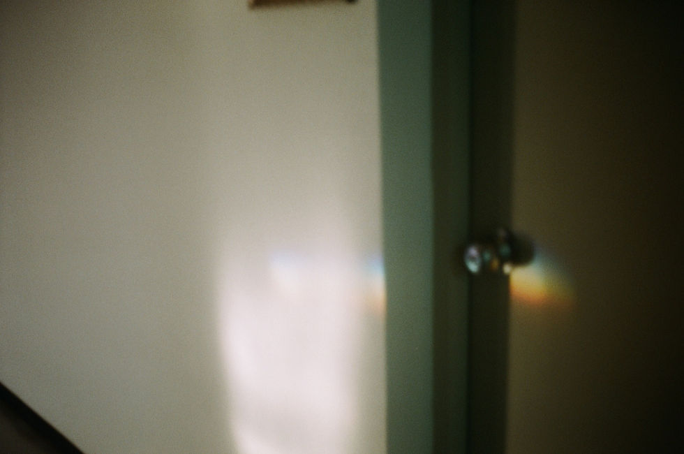 올림푸스 트립 35 필름카메라 사진