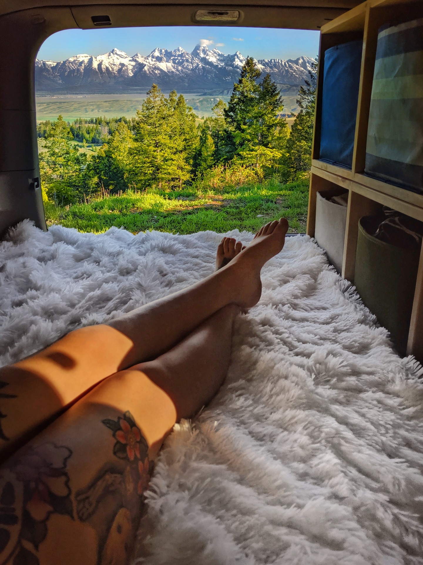 Free camping in the Tetons ❤️ content media