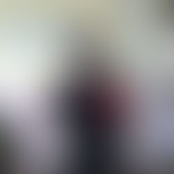 Chinese Language Course Students Participated in the Patron Saint's Day Celebration at V.S.K.