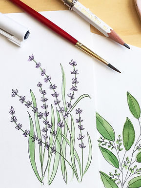 Lavanda con acuarela y marcador punto fino